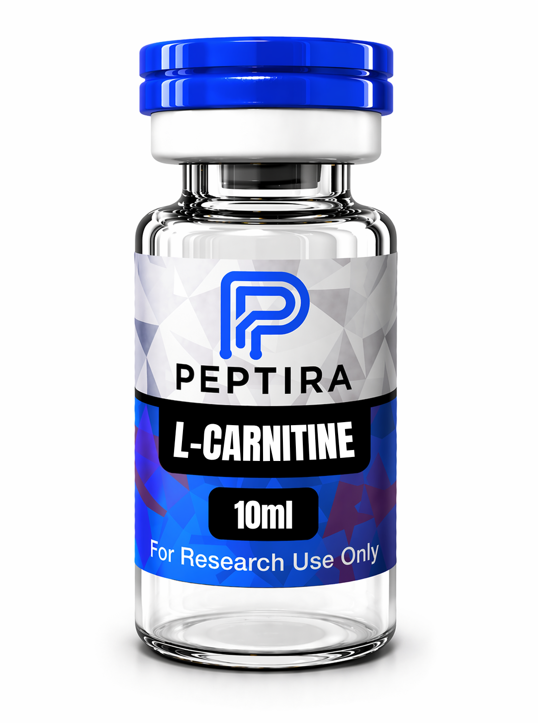 L~CARNITINE L~CARNITINE